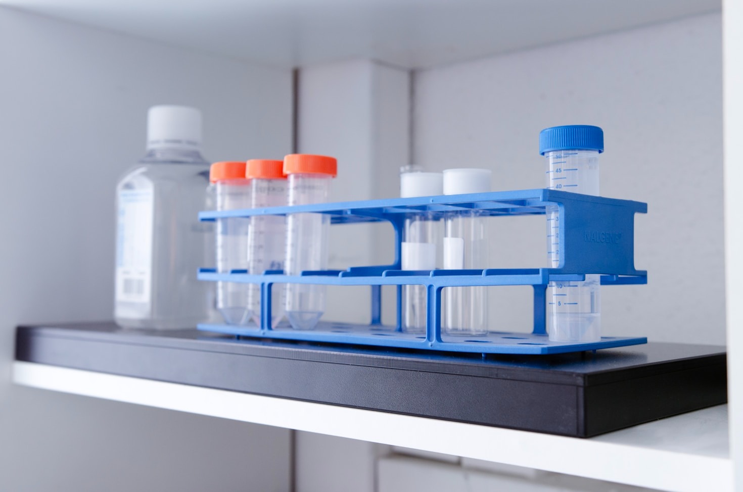 A Deep Dive into Phytobiosome Science